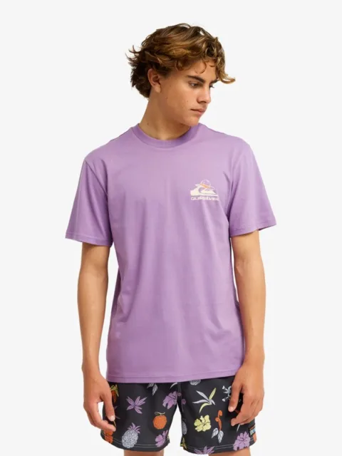 One Piece Merry - T-Shirt à manches courtes pour Homme Violet
