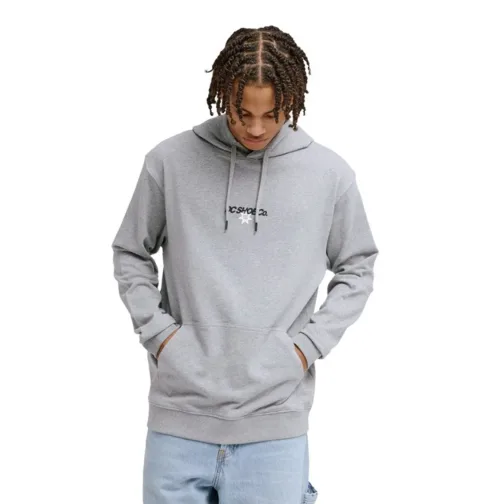 Vantura - Sweat à capuche Gris Homme