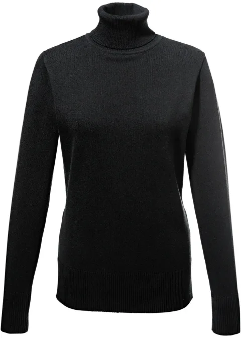 Pull col roulé en fine maille
