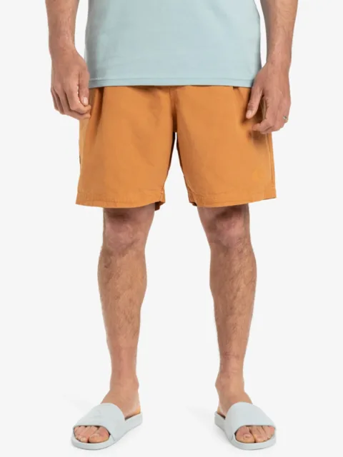 The Pipe Beach 19" - Beach short pour Homme Marron