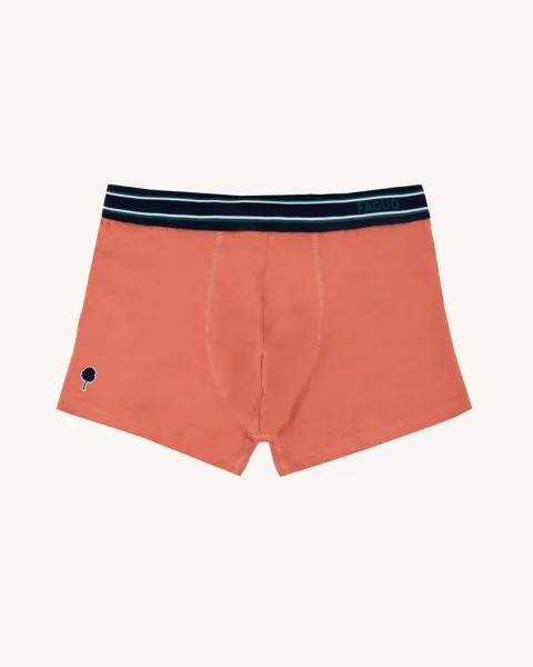 Lot de boxers x3 bleus et rouge - BOXER