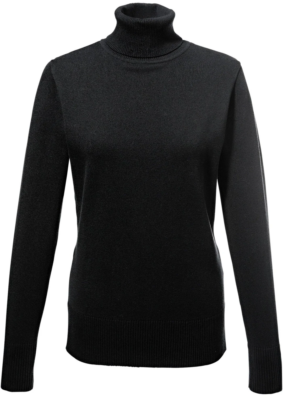 Pull col roulé en fine maille