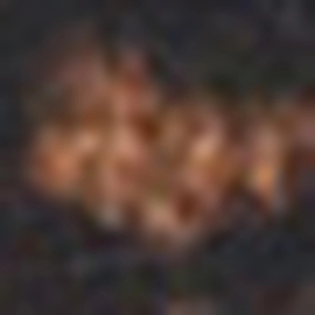 Col montant imprimé léopard - HELENE - Camel - 5