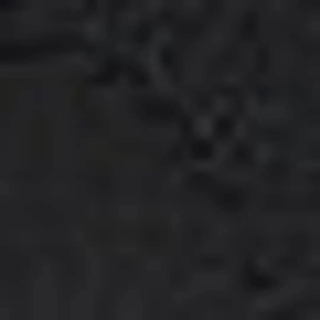 T-shirt en lin à broderies - MAEVANELLE - Noir - 6