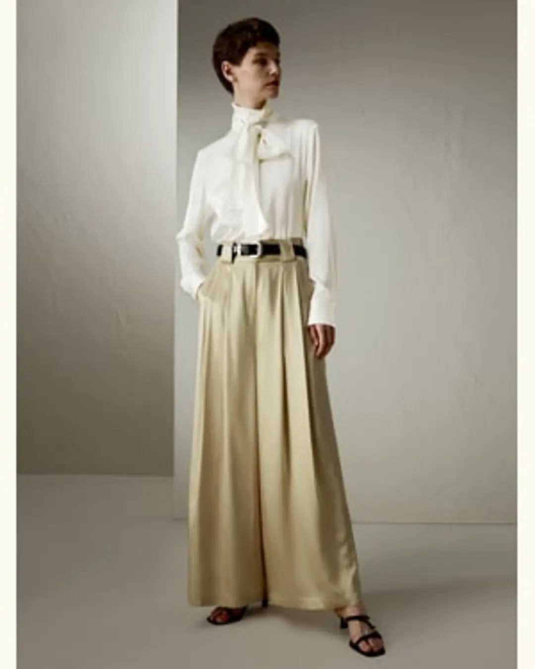 LILYSILK Pantalon Large Soie Femme Beige Jambe Large Avec Un Seul Pli À L'Avant 100% Soie Pure Doux, Lisse Et Brillamment Lustré 46