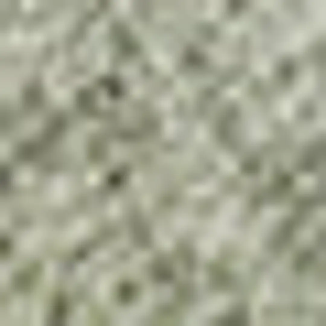 T-shirt oversize imprimé python - MARIEL - Vert Kaki - 7