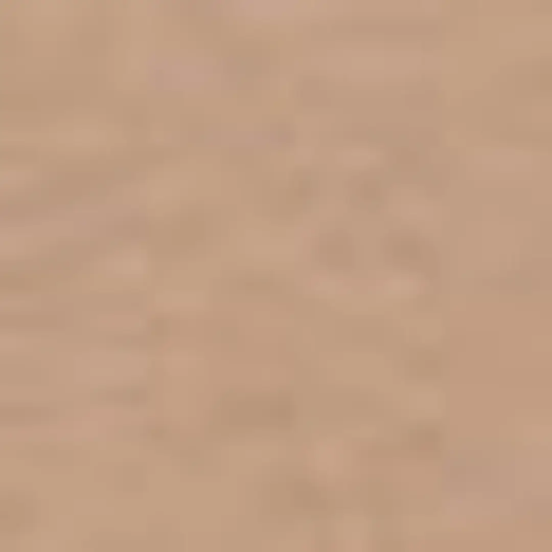 T-shirt V fluide - MALVINE - Caramel - 6