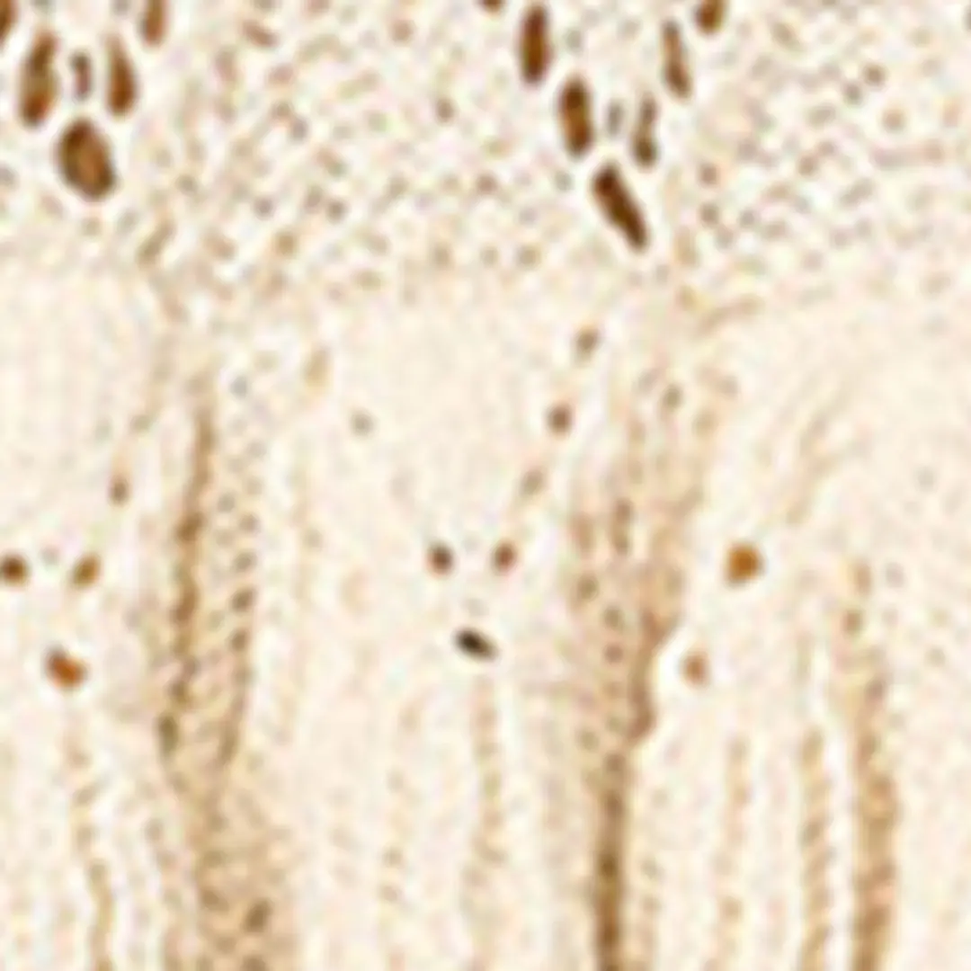 Jupe Nelle - Femme - Écru - Taille 42 - Marant Étoile - 6