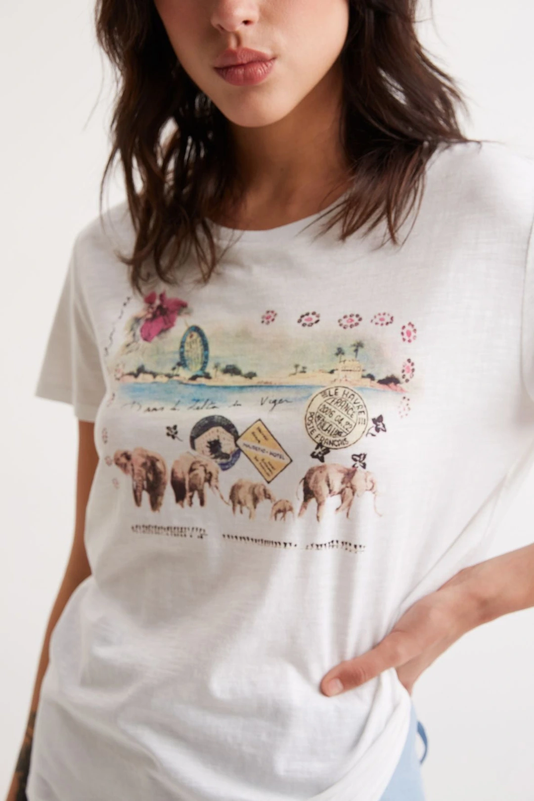 T-Shirt en coton imprimé élephant - ACACIA - Ecru - 2