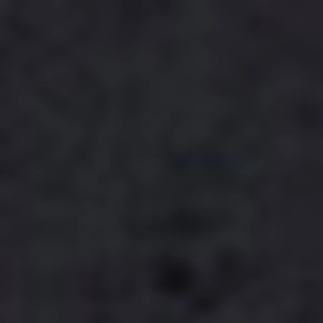 T-shirt en coton à paillettes - HERMINE - Ecru - 5