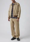 Beige / Tiger's Eye Canvas