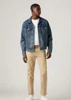 Neutral / True Chino Shady