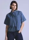 Bleu / Everyday Blues