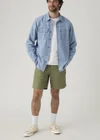 Vert / Deep Lichen Green Lightweight Twill