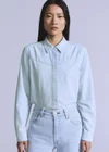Bleu / Blue Club Peony