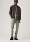 Vert / Tumbled Sea Glass Garment Dye