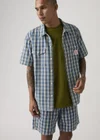 Bleu / Summer Check