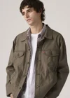 Marron / Maitake Brown