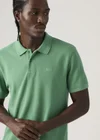 Vert / Pine Green