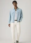 Blanc / Great Egret Garment Dye Authentic Soft